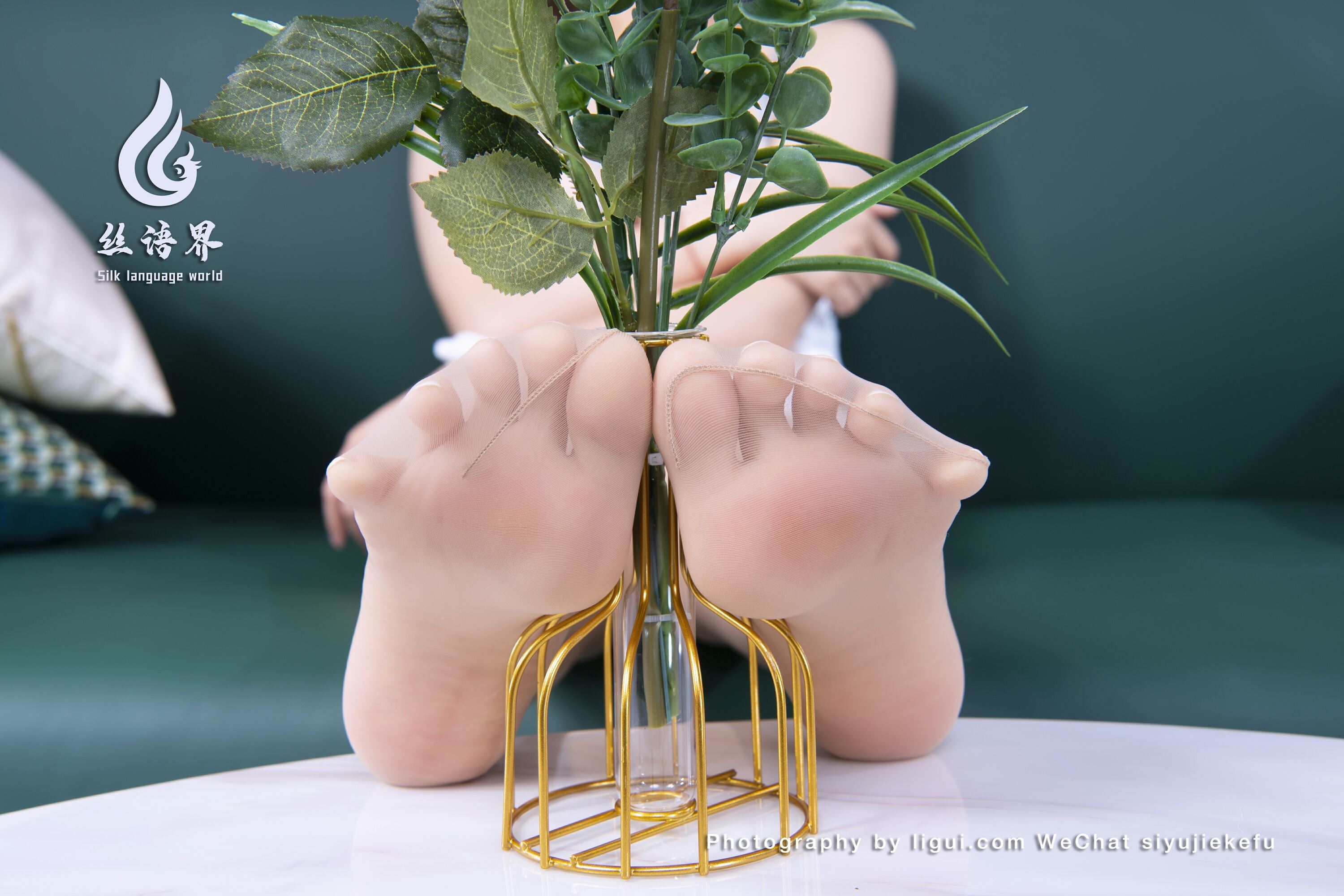 Ligui丽柜   丝语界合作 2023.03.19 《微甜的时光》安诺